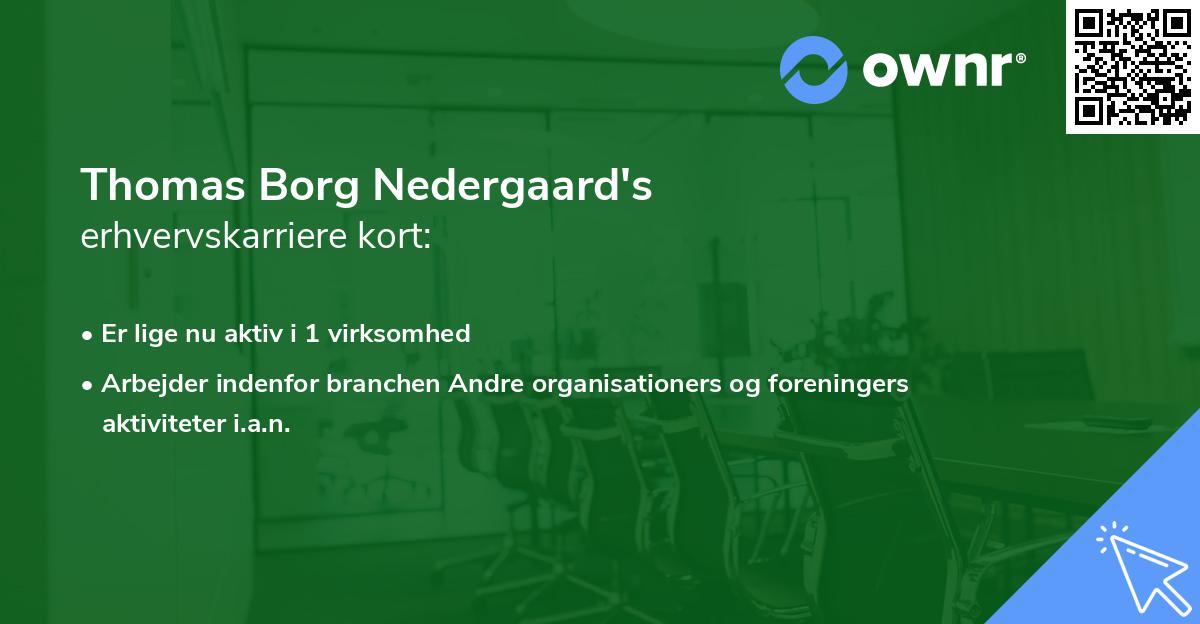 Thomas Borg Nedergaard's erhvervskarriere kort