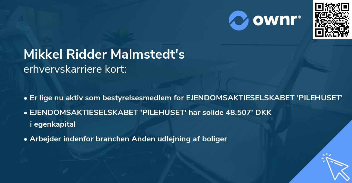 Mikkel Ridder Malmstedt's erhvervskarriere kort