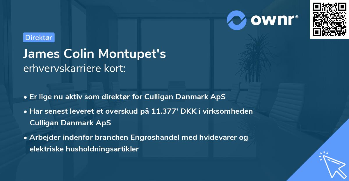 James Colin Montupet's erhvervskarriere kort
