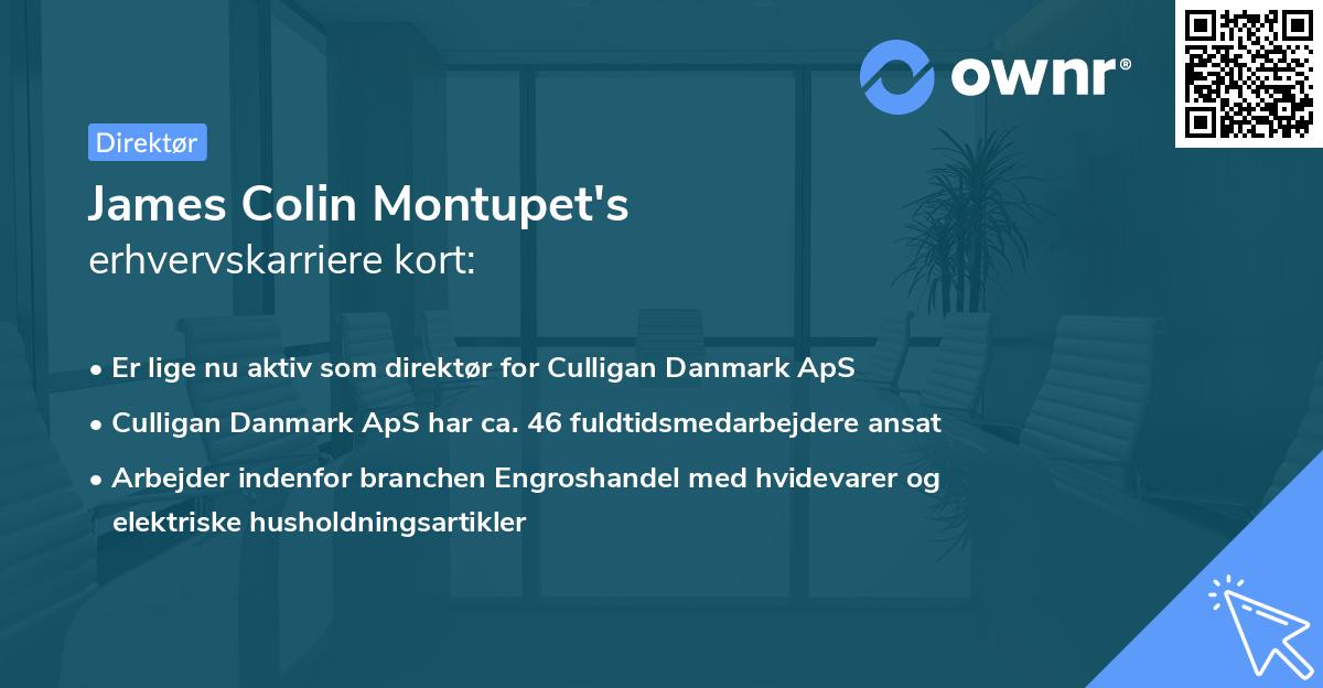 James Colin Montupet's erhvervskarriere kort