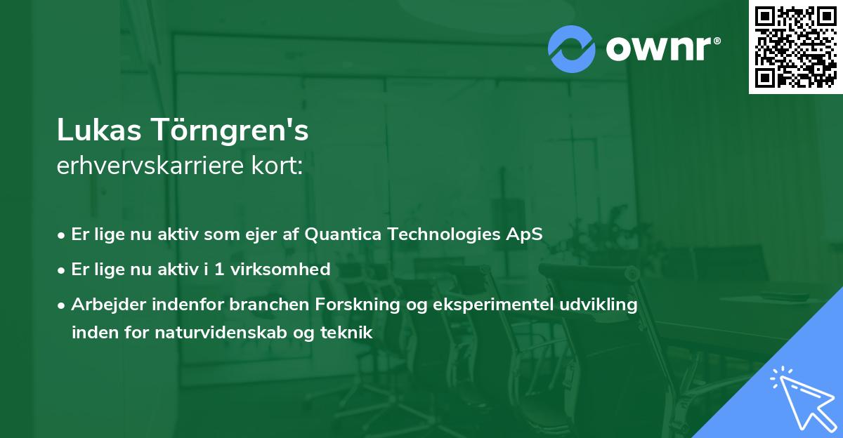 Lukas Törngren's erhvervskarriere kort