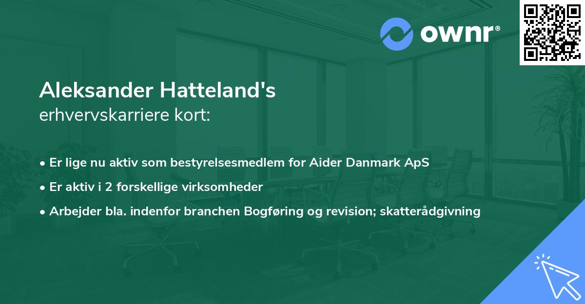 Aleksander Hatteland's erhvervskarriere kort