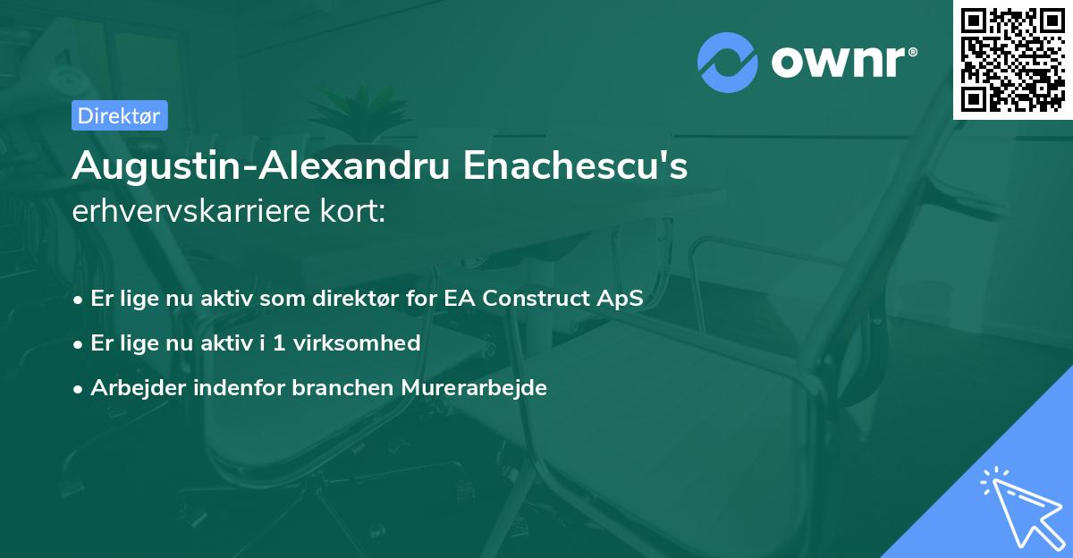 Augustin-Alexandru Enachescu's erhvervskarriere kort