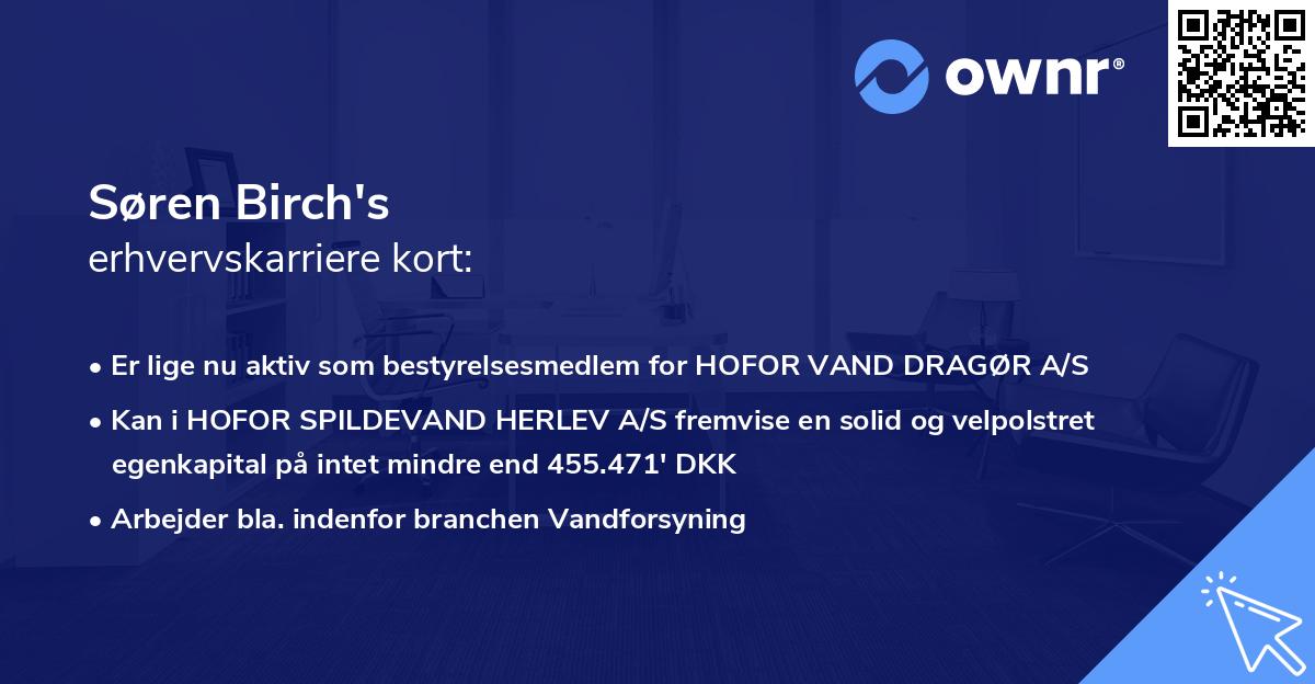 Søren Birch's erhvervskarriere kort