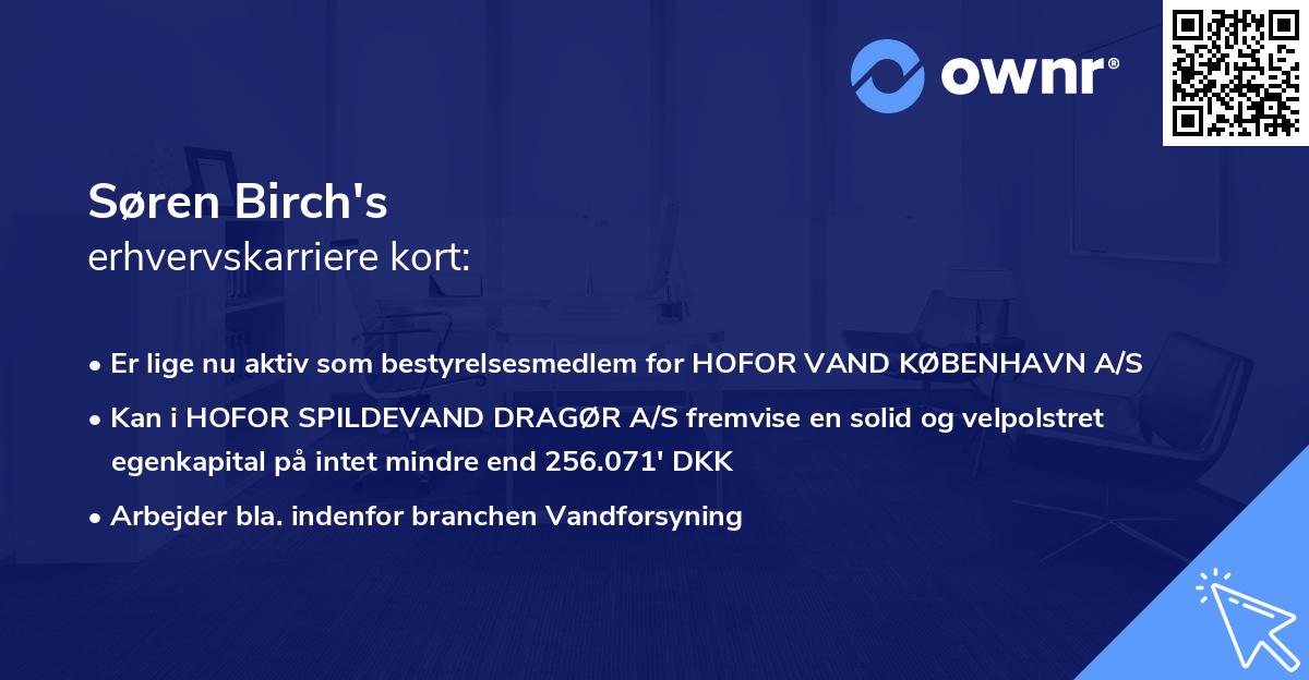 Søren Birch's erhvervskarriere kort