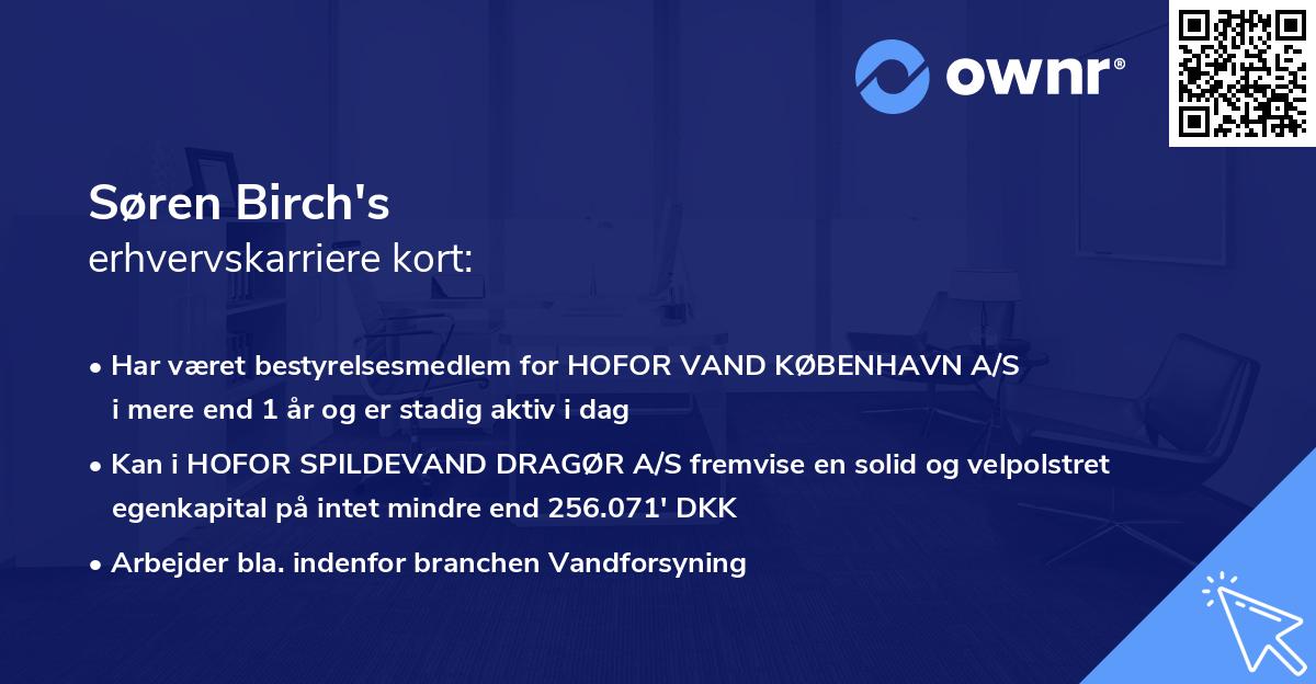 Søren Birch's erhvervskarriere kort