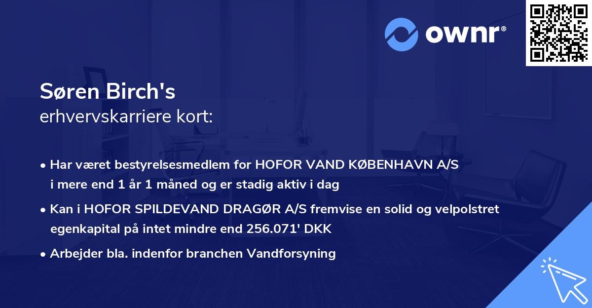 Søren Birch's erhvervskarriere kort
