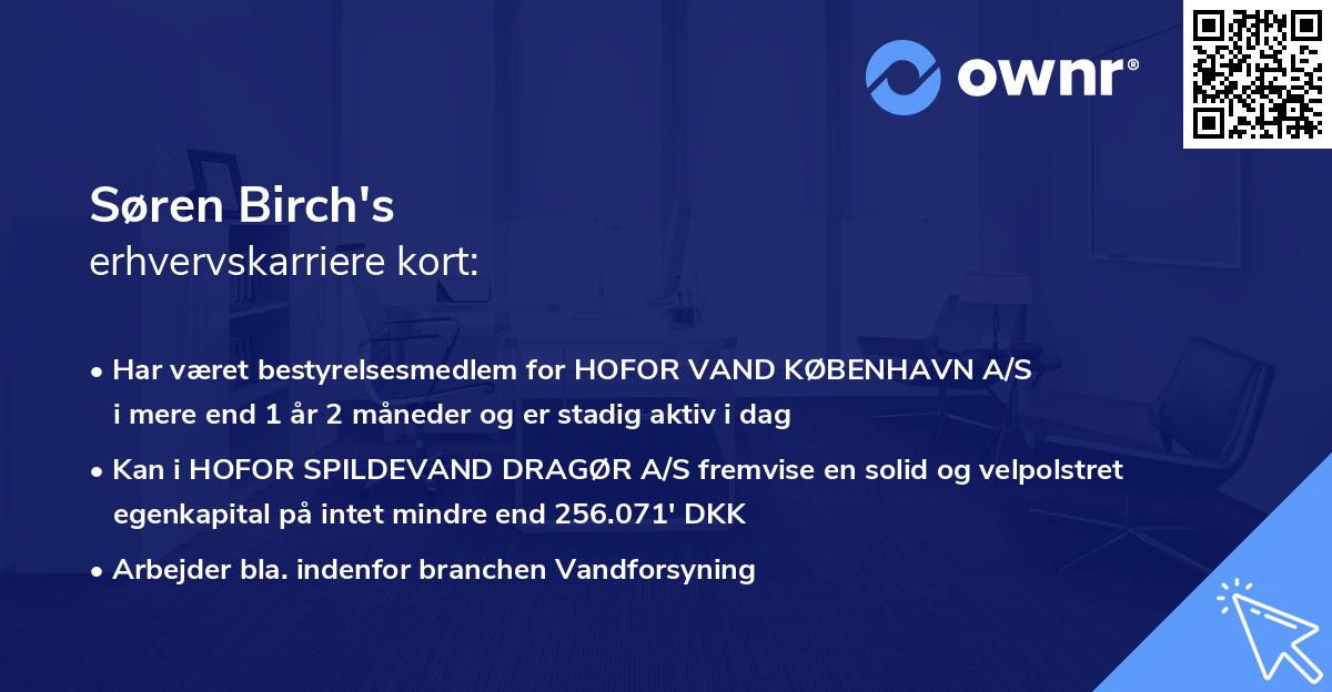 Søren Birch's erhvervskarriere kort