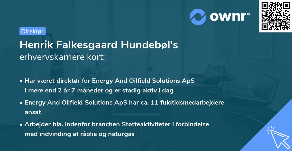 Henrik Falkesgaard Hundebøl's erhvervskarriere kort