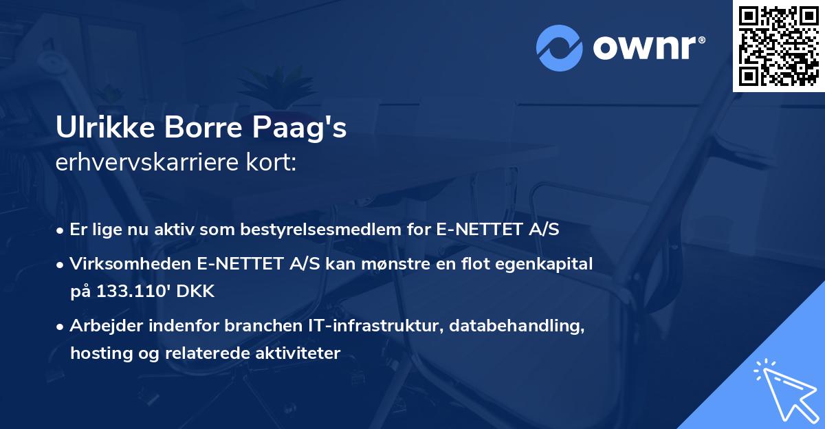 Ulrikke Borre Paag's erhvervskarriere kort
