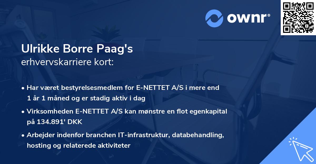 Ulrikke Borre Paag's erhvervskarriere kort
