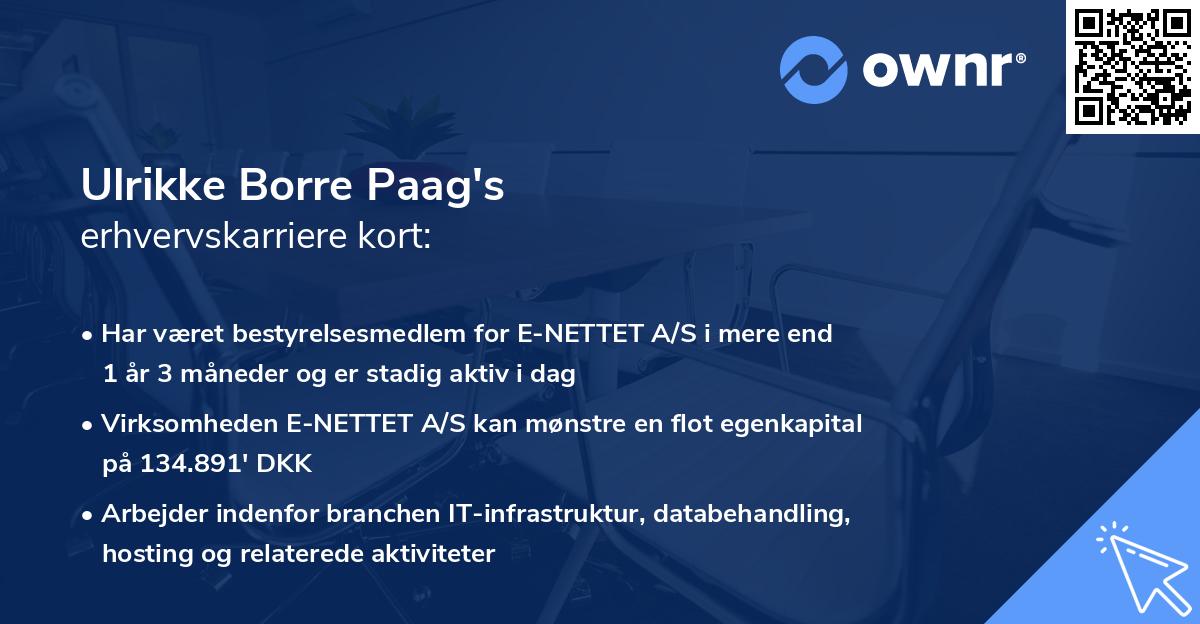 Ulrikke Borre Paag's erhvervskarriere kort