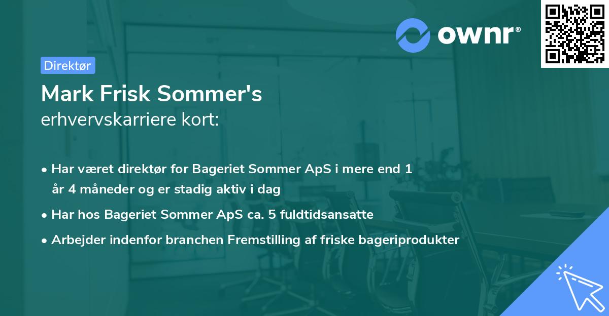 Mark Frisk Sommer's erhvervskarriere kort