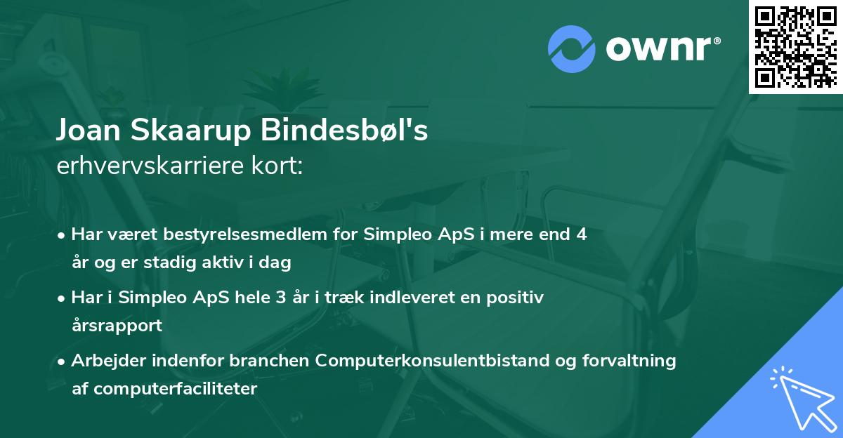 Joan Skaarup Bindesbøl's erhvervskarriere kort