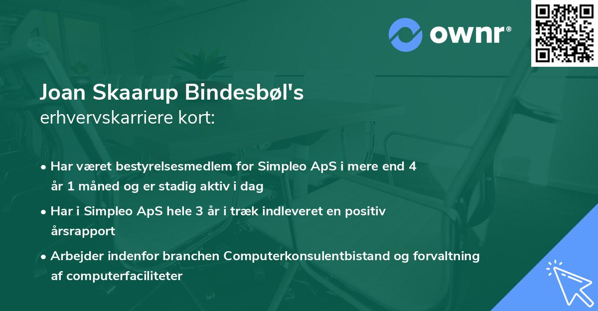 Joan Skaarup Bindesbøl's erhvervskarriere kort