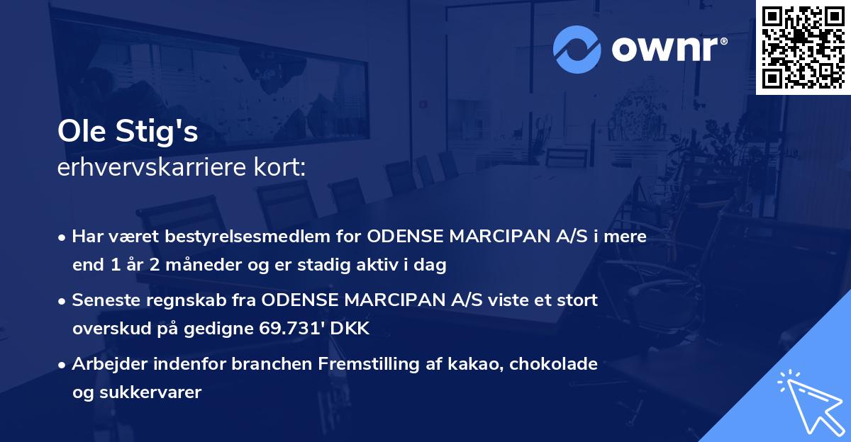 Ole Stig's erhvervskarriere kort