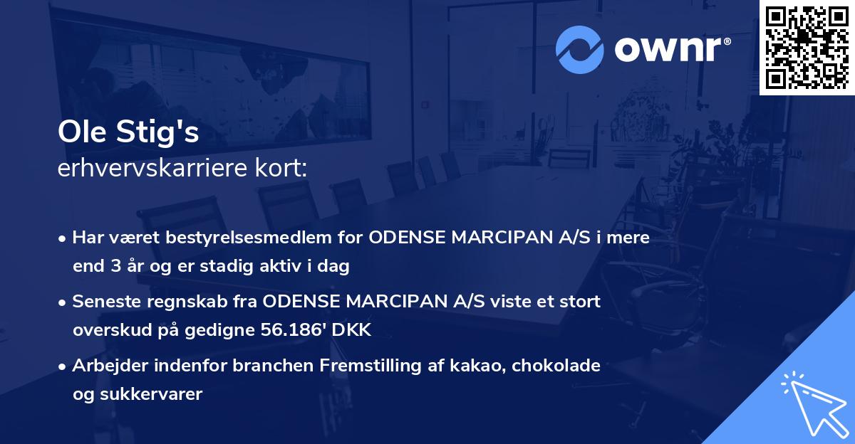 Ole Stig's erhvervskarriere kort
