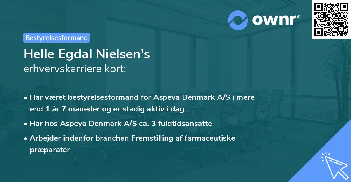 Helle Egdal Nielsen's erhvervskarriere kort