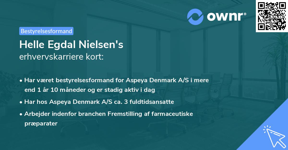 Helle Egdal Nielsen's erhvervskarriere kort