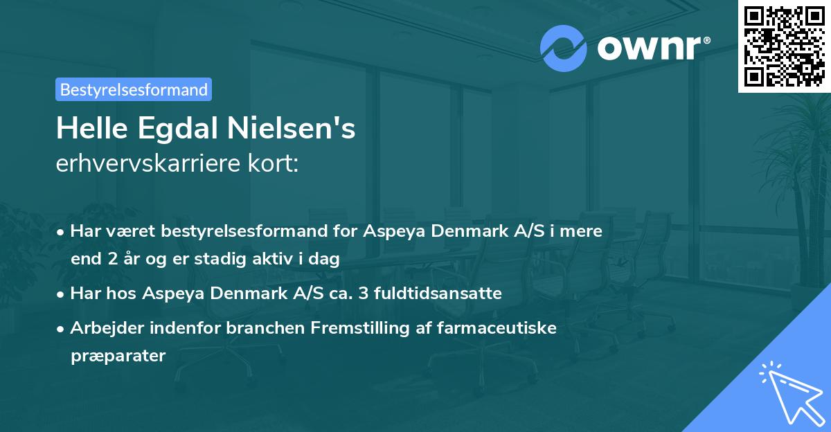 Helle Egdal Nielsen's erhvervskarriere kort