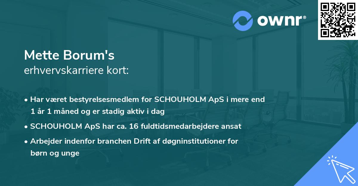 Mette Borum's erhvervskarriere kort