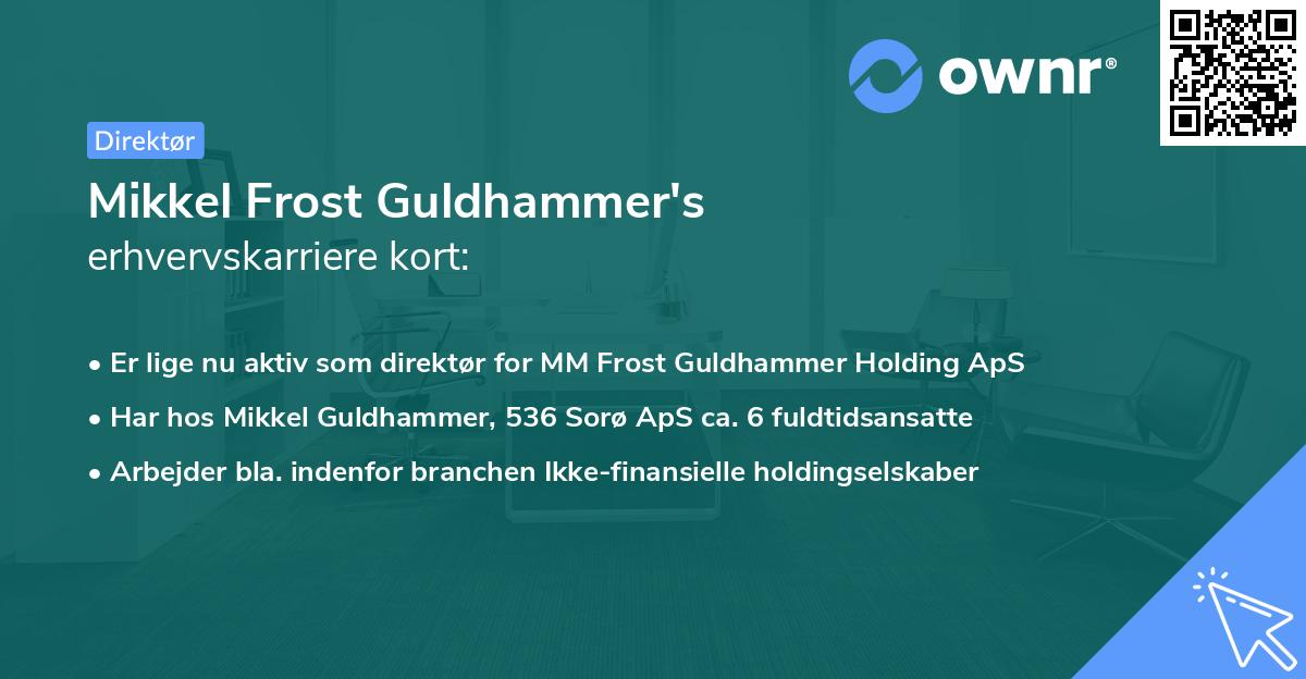 Mikkel Frost Guldhammer's erhvervskarriere kort