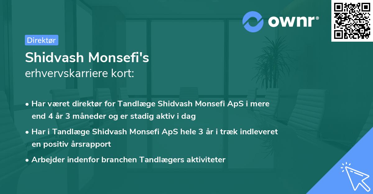 Shidvash Monsefi's erhvervskarriere kort