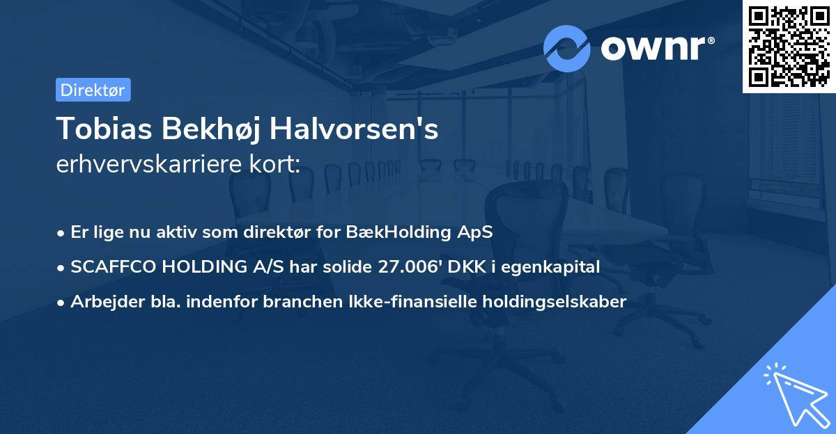 Tobias Bekhøj Halvorsen's erhvervskarriere kort