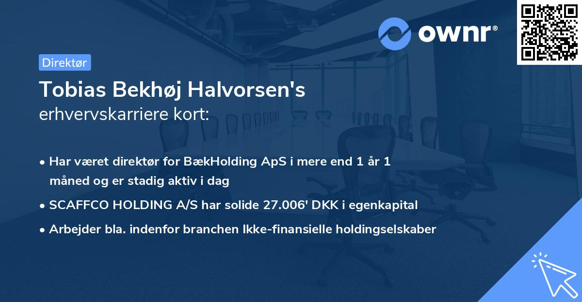 Tobias Bekhøj Halvorsen's erhvervskarriere kort