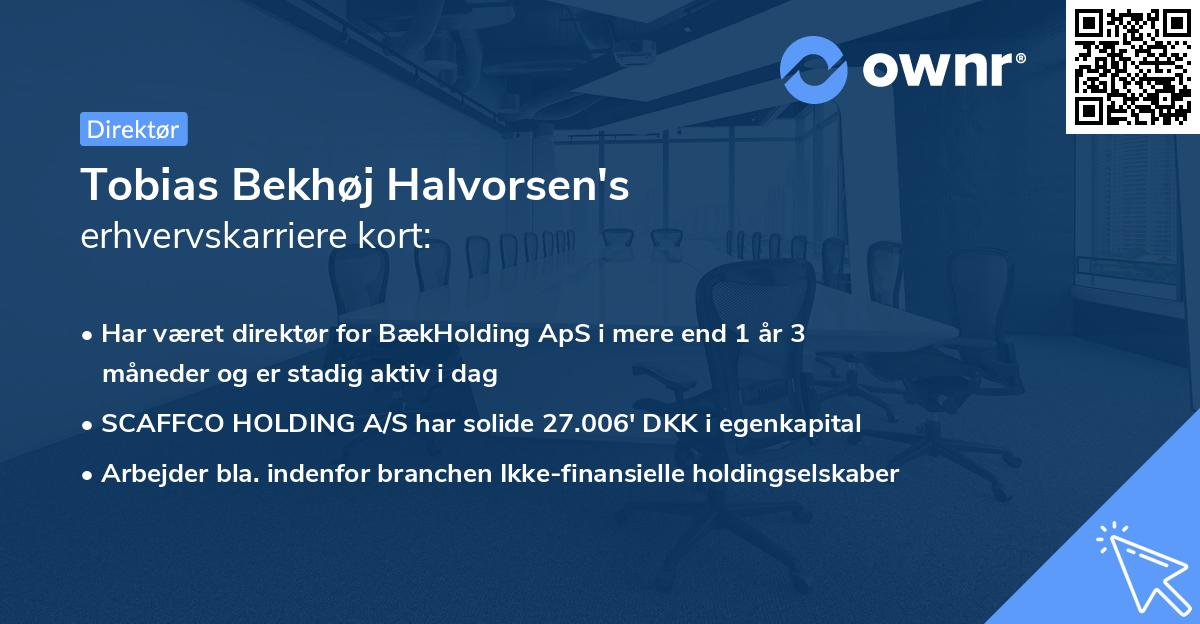 Tobias Bekhøj Halvorsen's erhvervskarriere kort