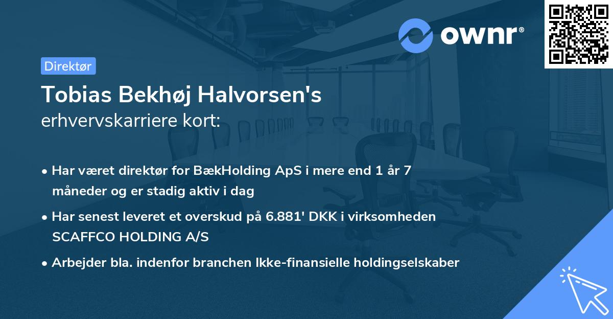 Tobias Bekhøj Halvorsen's erhvervskarriere kort