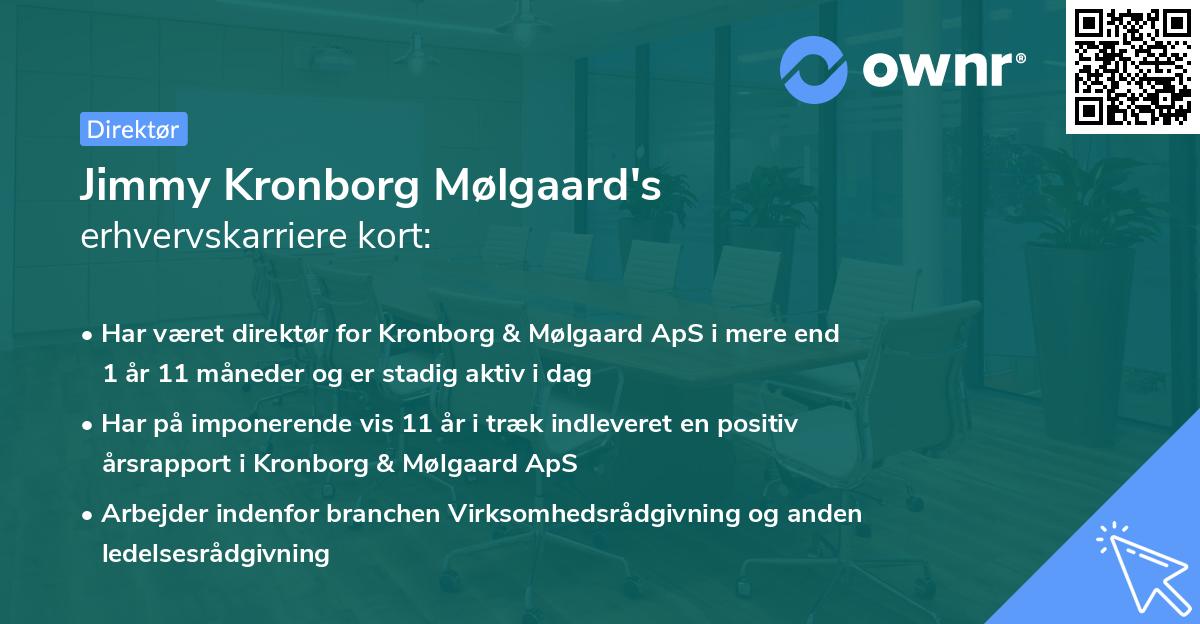 Jimmy Kronborg Mølgaard's erhvervskarriere kort