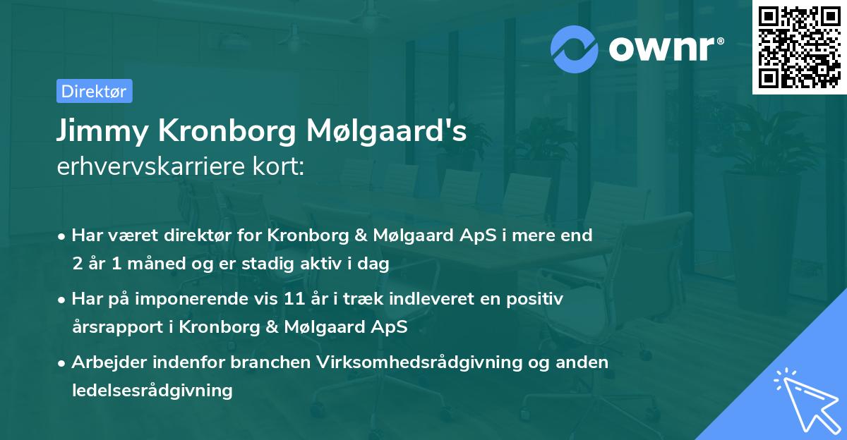 Jimmy Kronborg Mølgaard's erhvervskarriere kort