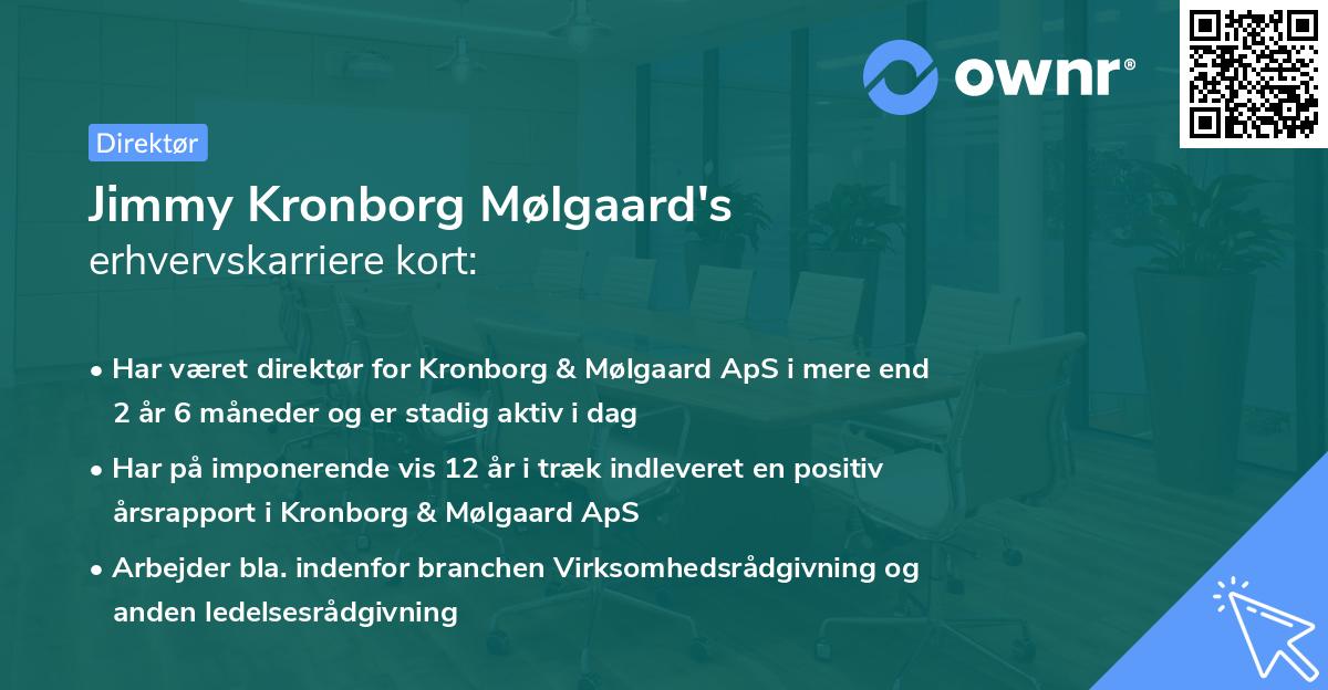 Jimmy Kronborg Mølgaard's erhvervskarriere kort