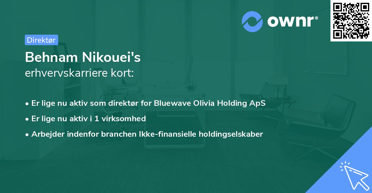 Behnam Nikouei's erhvervskarriere kort