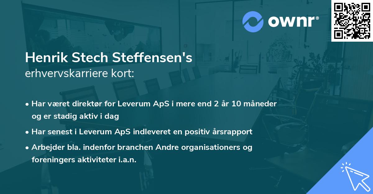 Henrik Stech Steffensen's erhvervskarriere kort