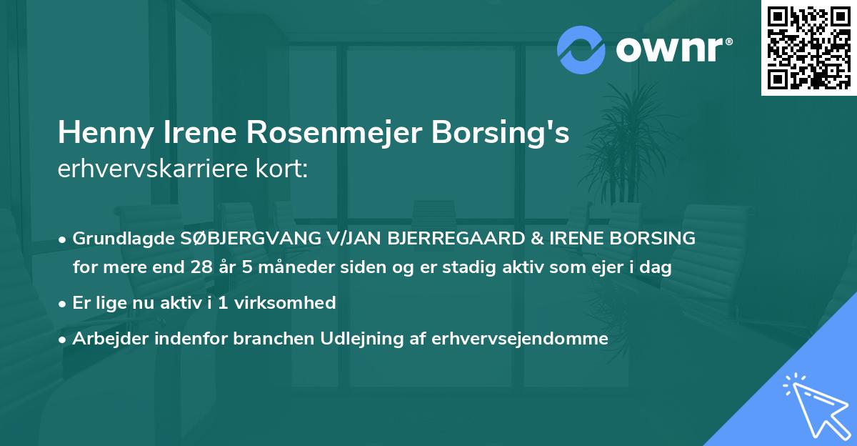 Henny Irene Rosenmejer Borsing's erhvervskarriere kort