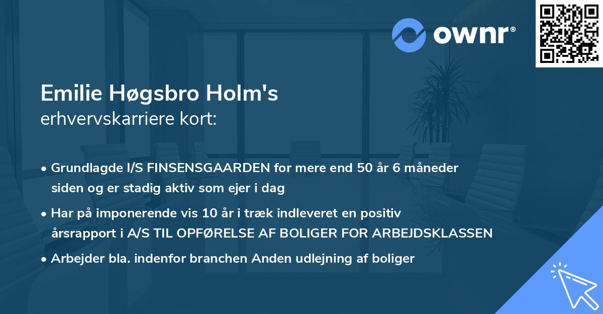 Emilie Høgsbro Holm's erhvervskarriere kort