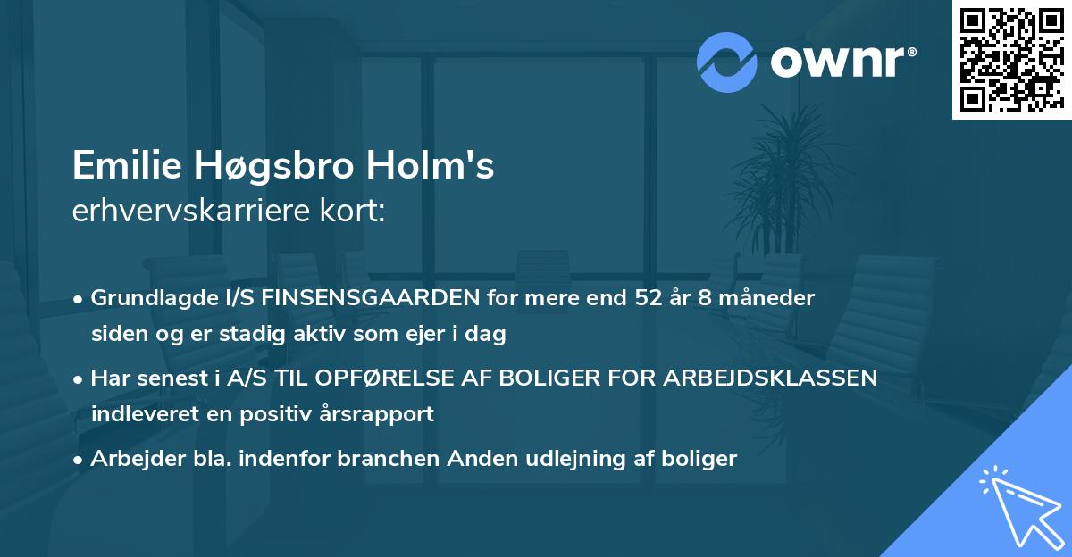 Emilie Høgsbro Holm's erhvervskarriere kort