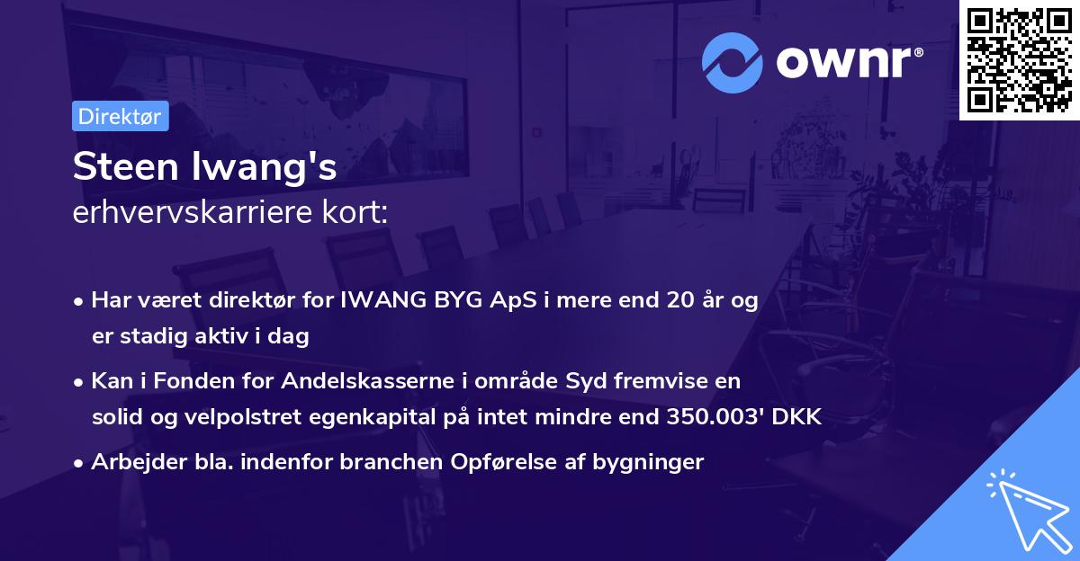 Steen Iwang's erhvervskarriere kort