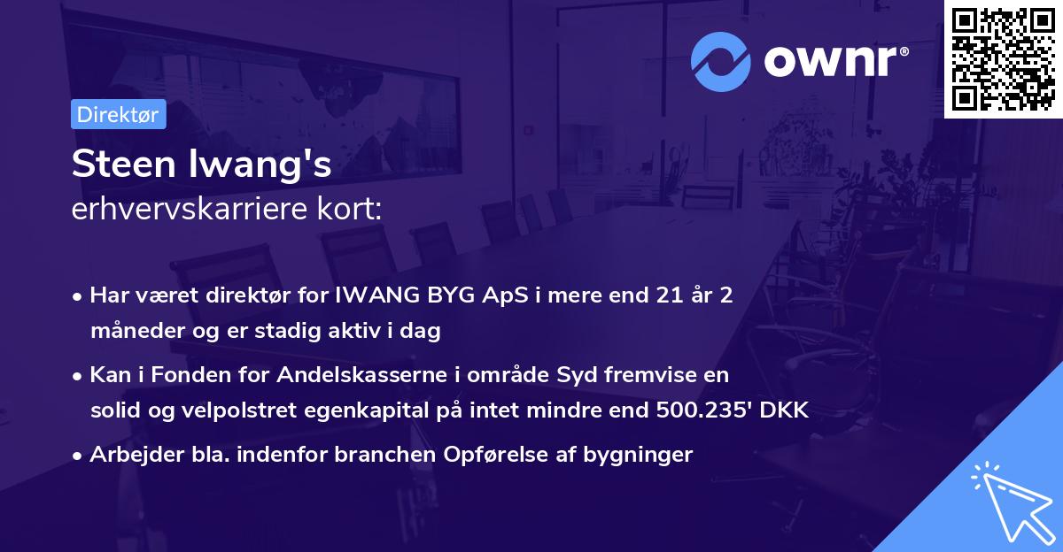 Steen Iwang's erhvervskarriere kort