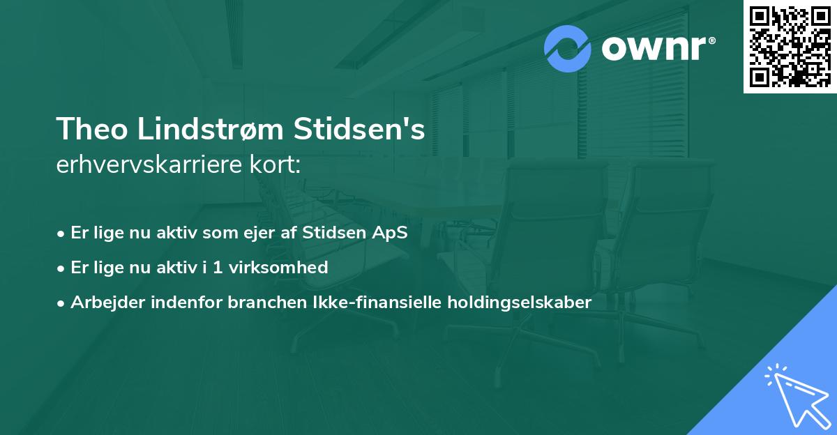 Theo Lindstrøm Stidsen's erhvervskarriere kort