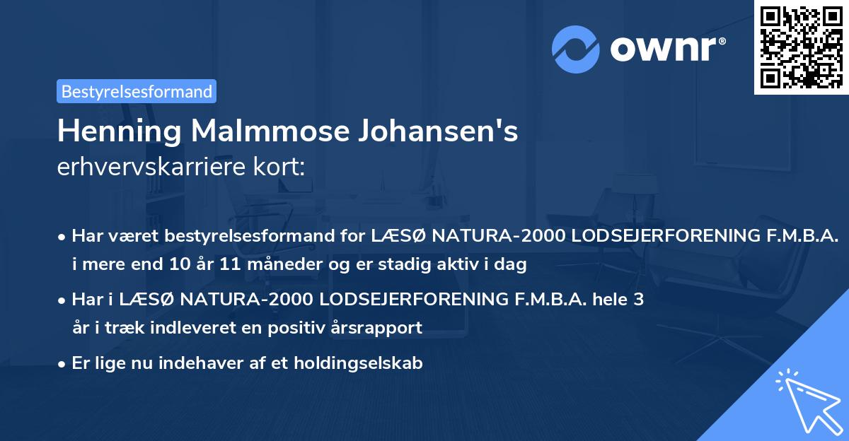 Henning Malmmose Johansen's erhvervskarriere kort