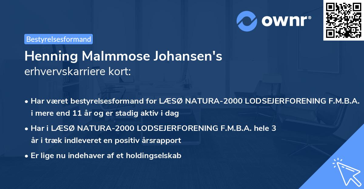 Henning Malmmose Johansen's erhvervskarriere kort