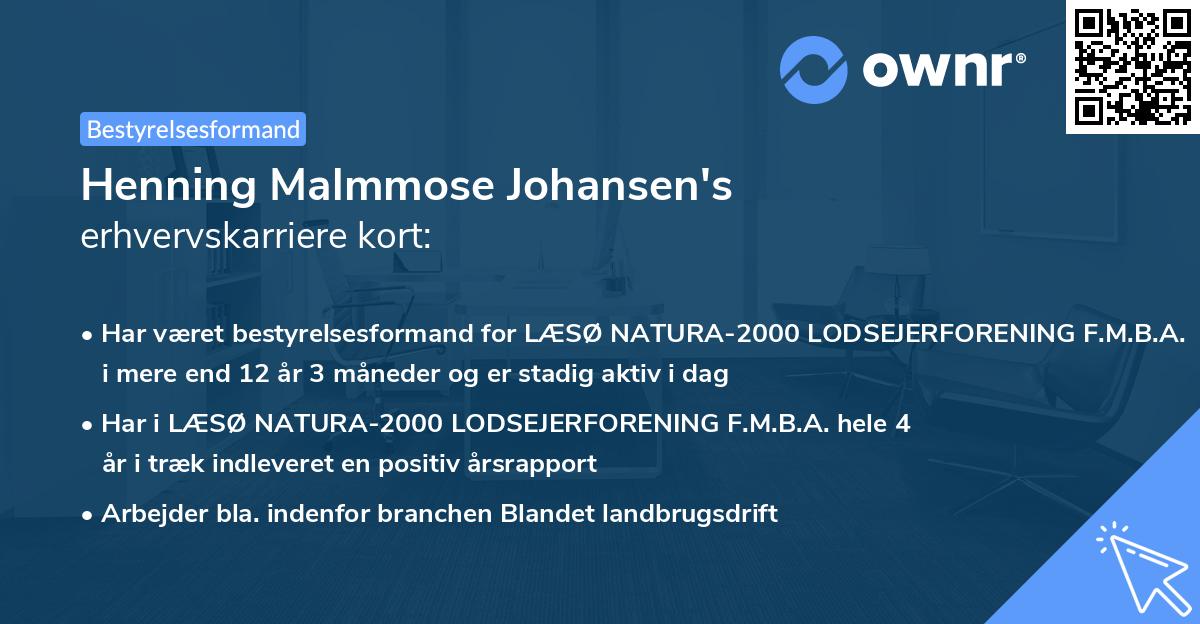 Henning Malmmose Johansen's erhvervskarriere kort