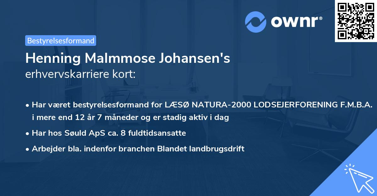 Henning Malmmose Johansen's erhvervskarriere kort