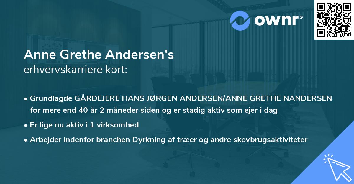 Anne Grethe Andersen's erhvervskarriere kort