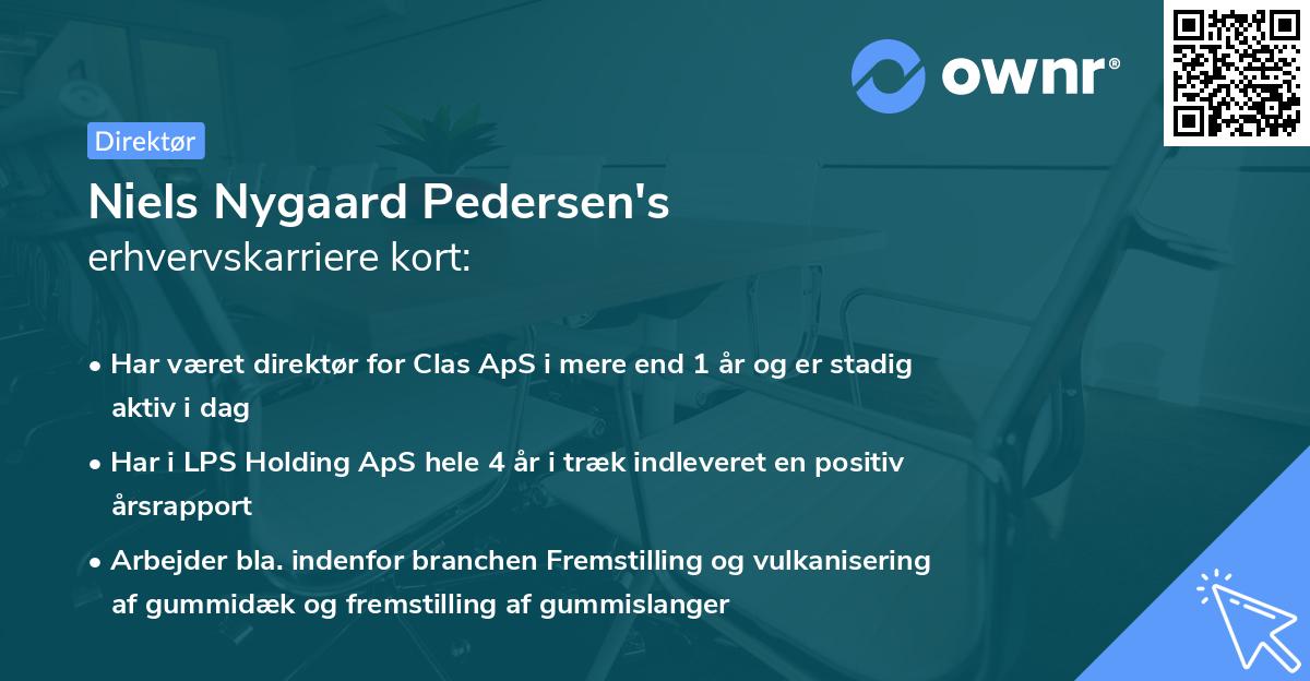 Niels Nygaard Pedersen's erhvervskarriere kort