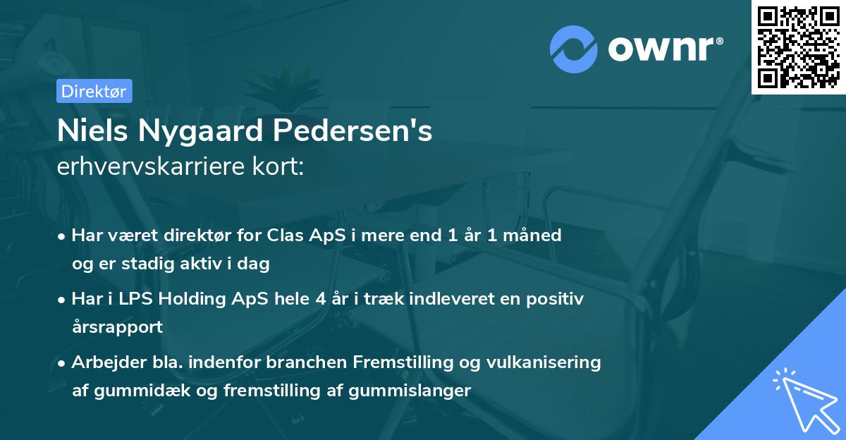 Niels Nygaard Pedersen's erhvervskarriere kort