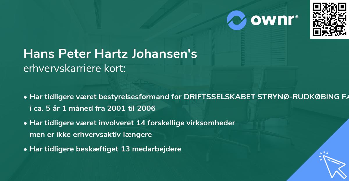 Hans Peter Hartz Johansen's erhvervskarriere kort